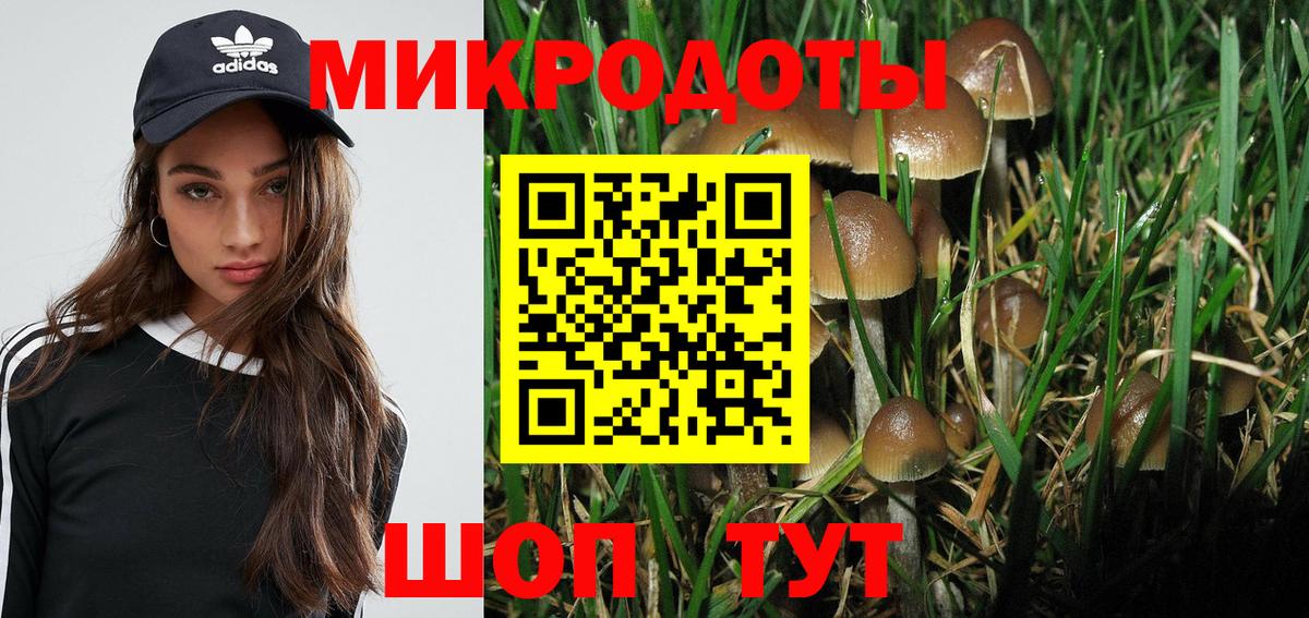 как найти закладки  Псилоцибиновые грибы ЛСД  Пушкино  Вход с VPN  Галлюциногенные грибы прущие грибы 