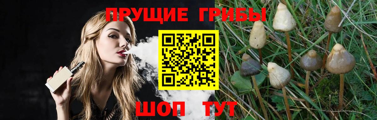 Галлюциногенные грибы Magic Shrooms Пушкино